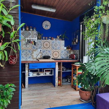 Вилла Loft Con Jardin Мадрид Экстерьер фото